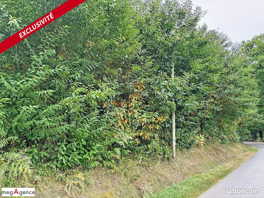 Terrain 1790 m² · à Saint-Mexant · 1 790 m² · 31 000 €
