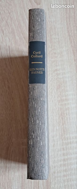 Les Nuits Fauves, Cyril Collard (image 2)