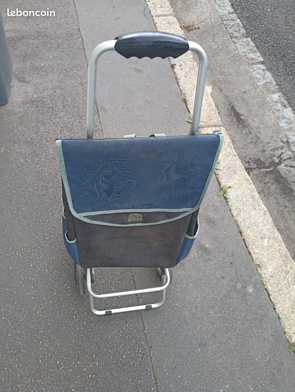 Caddie bleu (image 1)