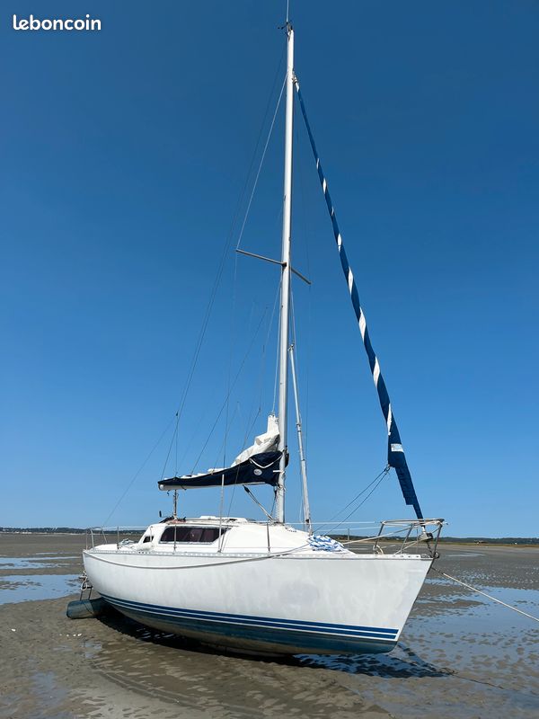 Gibsea 262 — Vedi foto 1
