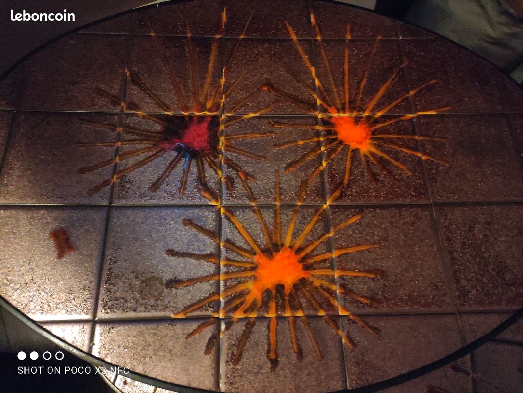 Vallauris table 3 plateaux "la roue" (image 1)