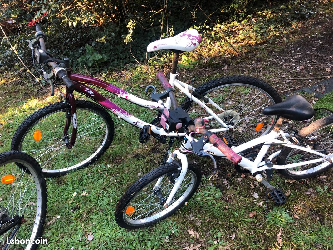 Vélo vtt (image 1)