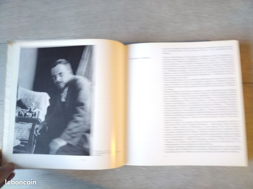 Livre rare " Écrits sur l'art : La pensée créatrice " Paul Klee 1973 (image 4)
