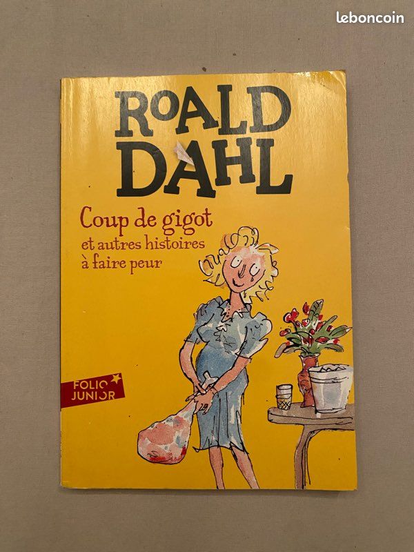 Livres scolaire (x20) tout âge (image 9)