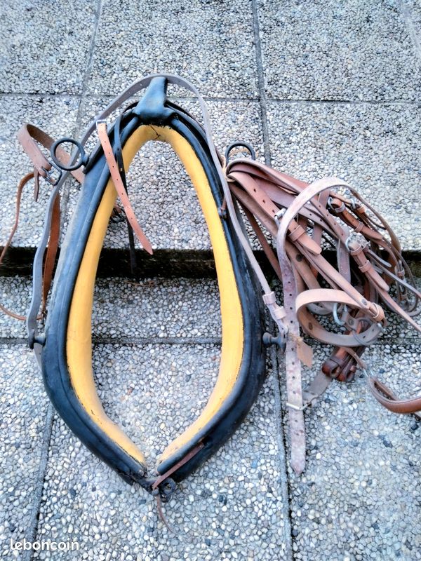 Vends harnais très bon état (image 1)