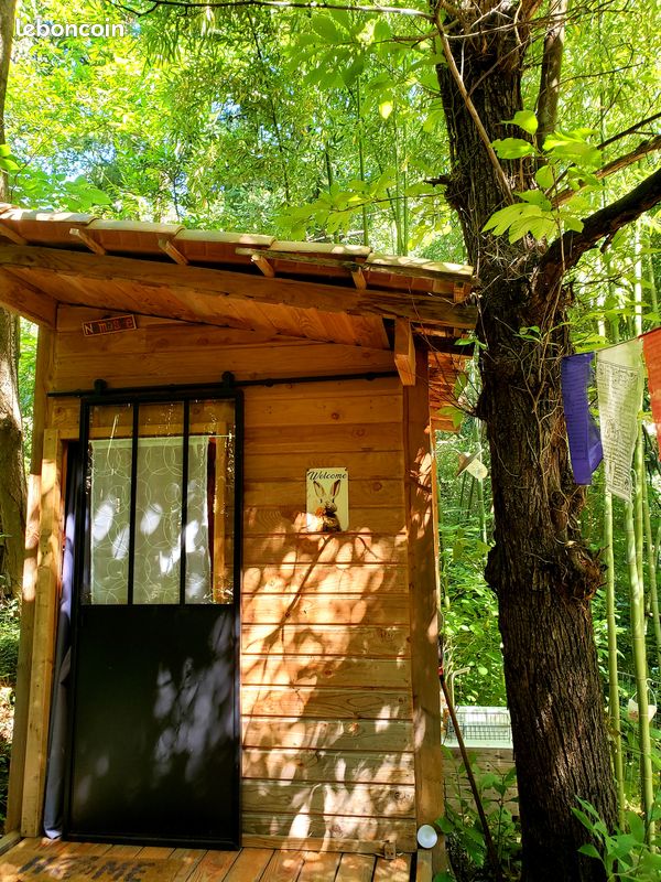 La Yourte aux Bambous en Cévennes (image 7)