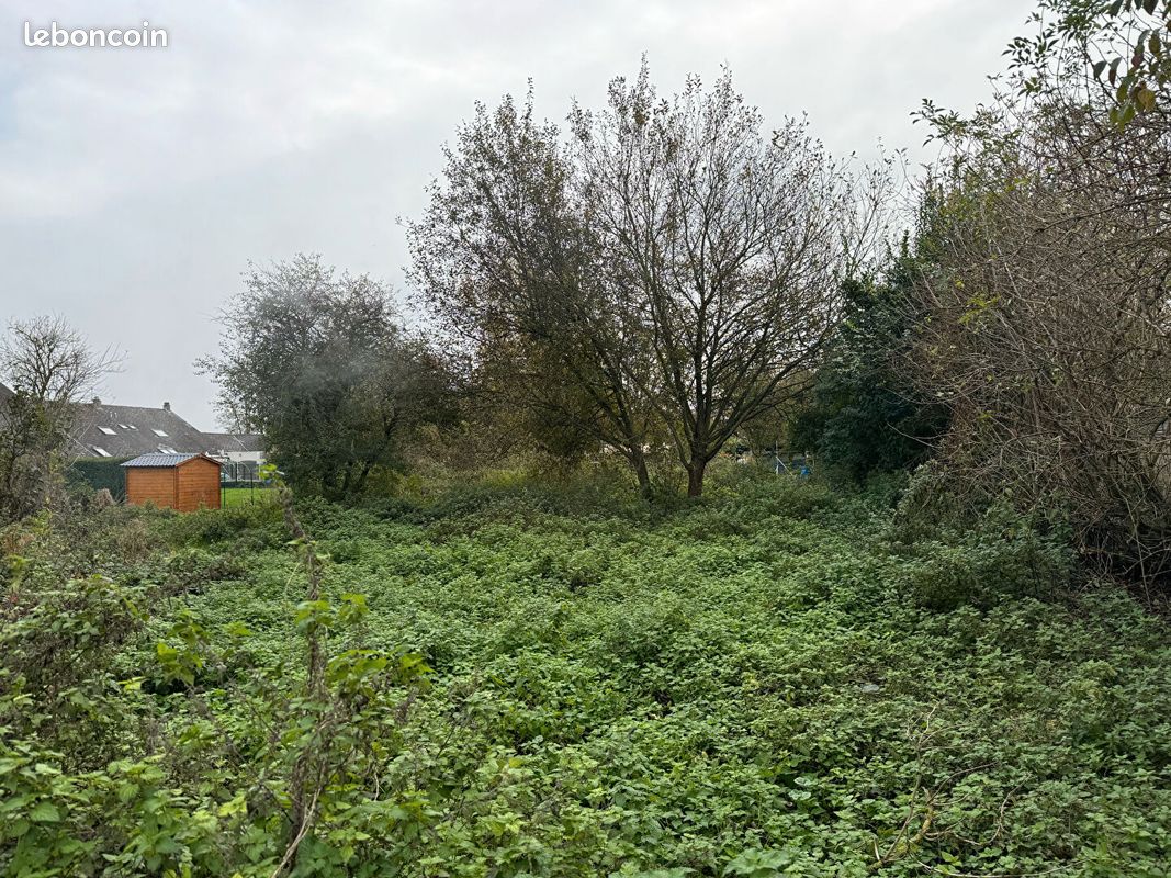Terrain 807 m² · à Le Quesnoy · 807 m² · 59 500 €