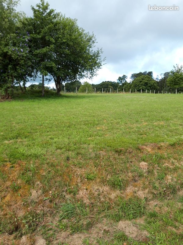Terrain 1210m2 constructible · à Camps-Saint-Mathurin-Léobazel · 12 000 €