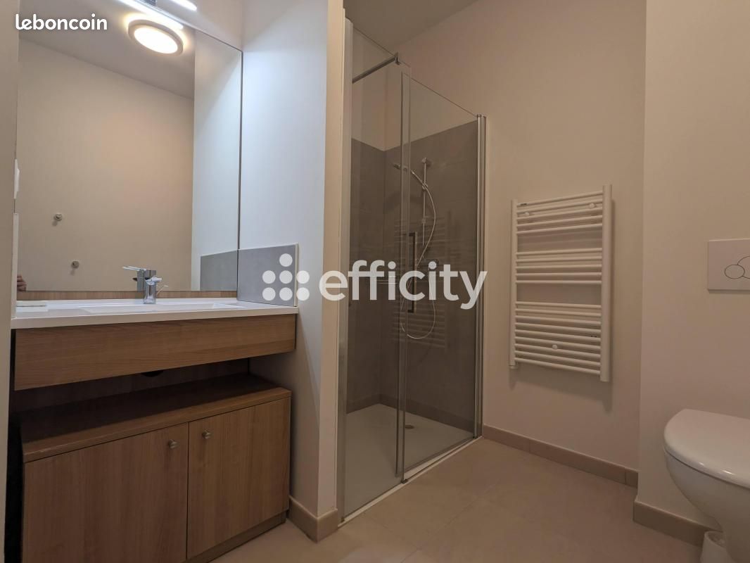 Appartement 1 pièce 39 m² - Limoges 87000 (image principale 3)
