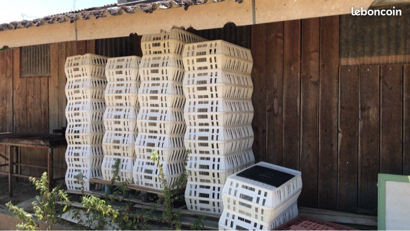 Caisses avicoles (image 1)