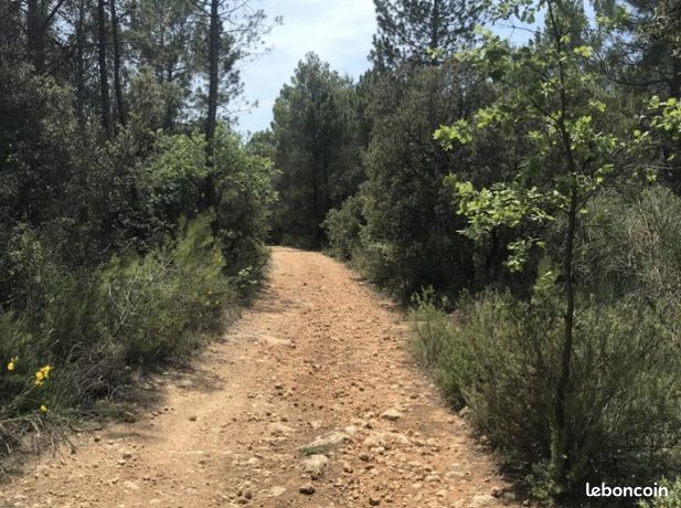 Terrain 25000 m² SALERNES