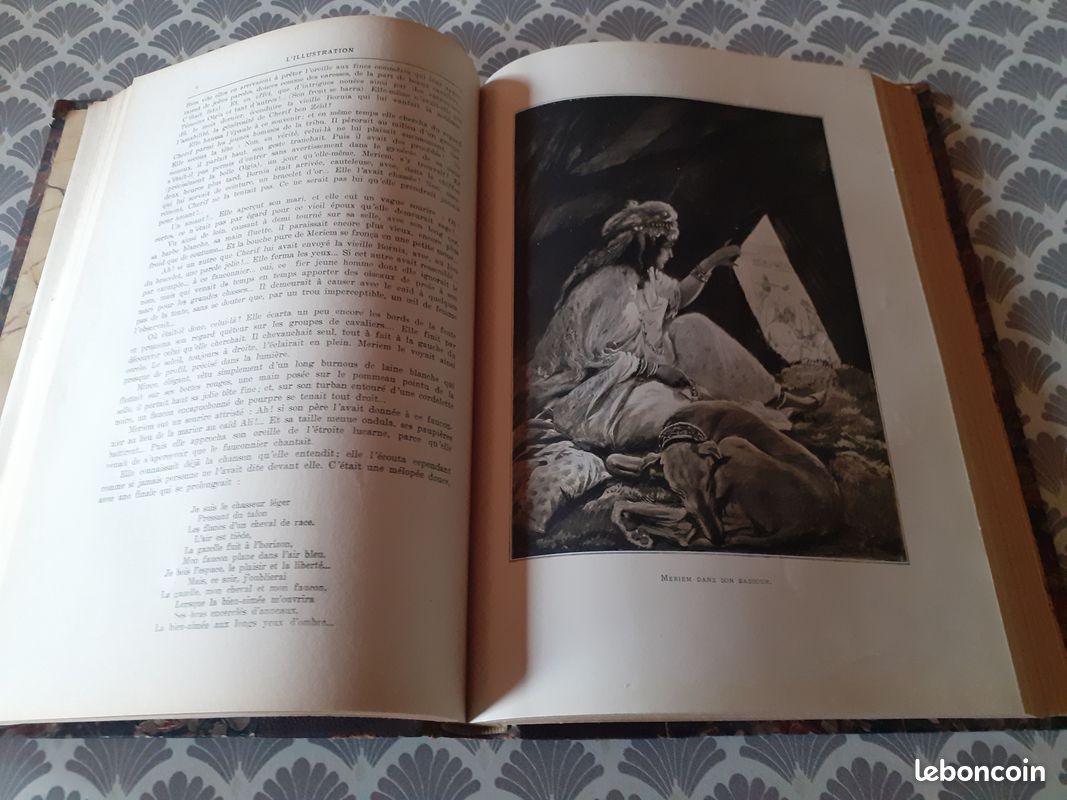 Livre ancien : l'illustration romans divers (image 7)
