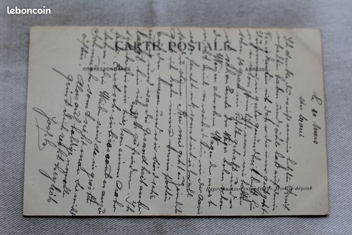 ALGERIE - TLEMCEN - fete du mouloud, la procession EUR 6,00