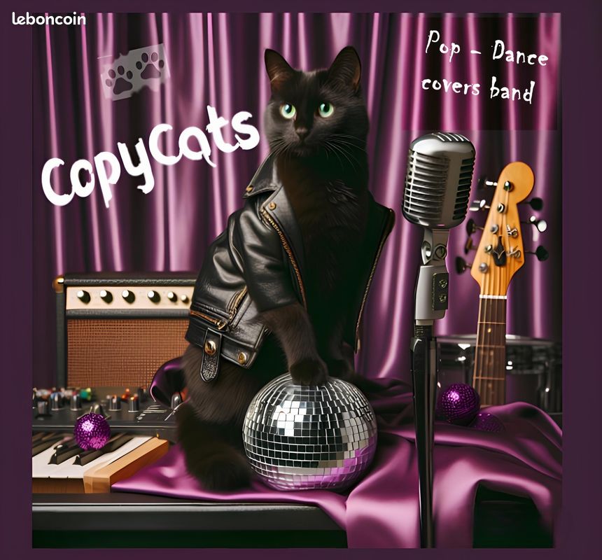 Trio musical pour animer vos évènements (image 1)