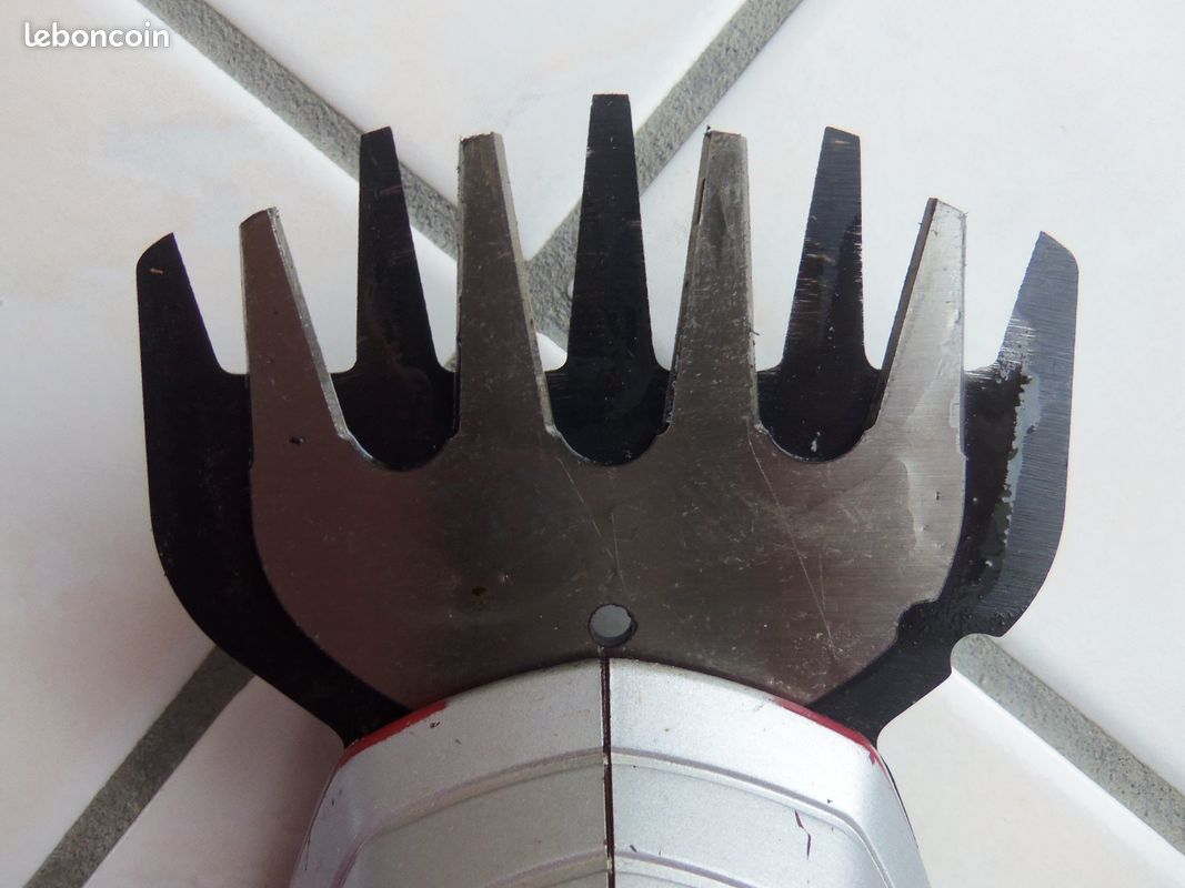 Einhell cisaille à gazon sans fil avec batterie (image 3)