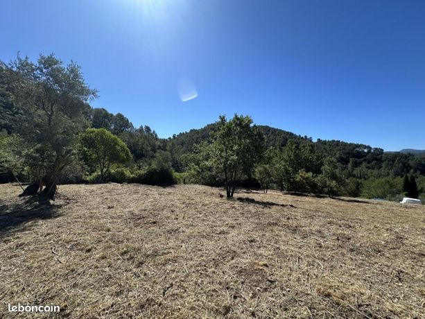 Terrain 971 m² Belgentier