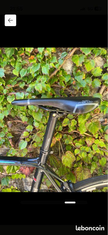 Bianchi Via Nirone 7 (2020) - Shimano Sora - Roue Dt Swiss PR 1600 (image 5)