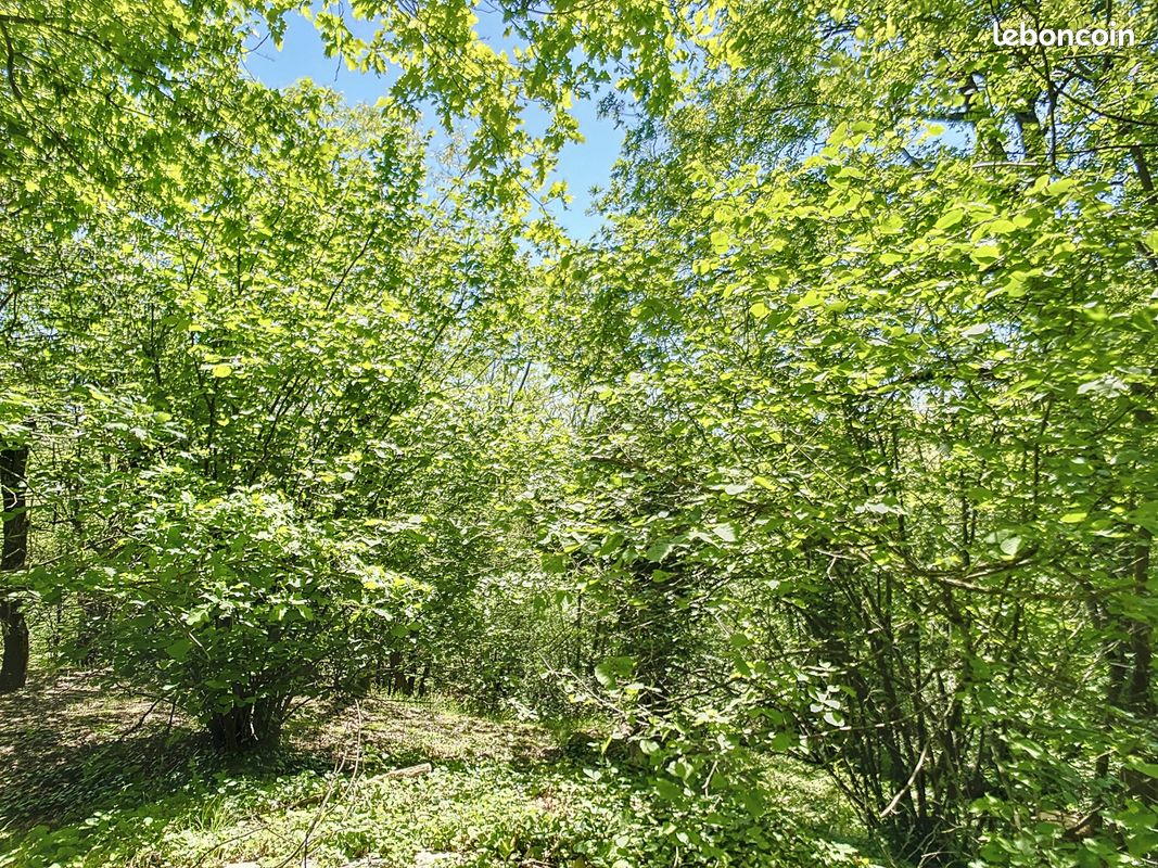 Propriété 6 pièces 140 m² (image 19)