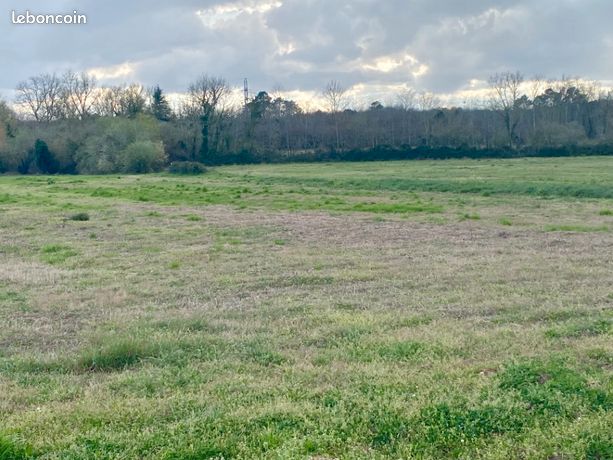 Terrain 705 m² Podensac