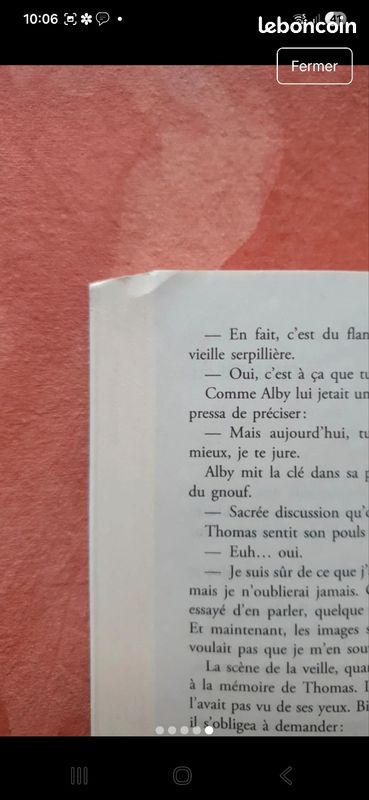 Livre le labyrinthe (image 5)