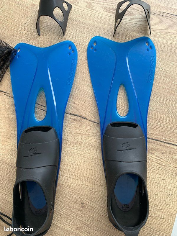Palme plongée (image 1)