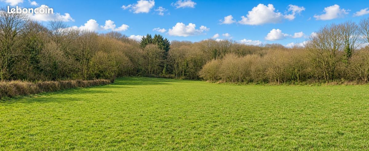 Terrain 9344 m² · à Lugny · 108 000 €