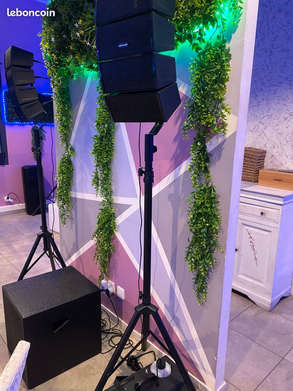 Enceinte amplifiée avec caisson professionnel (image 3)
