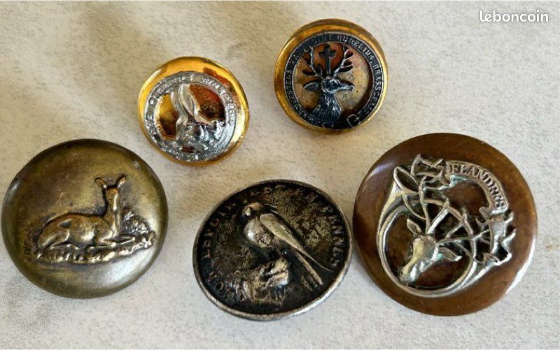 Chasse Venerie - lot de boutons - Collection