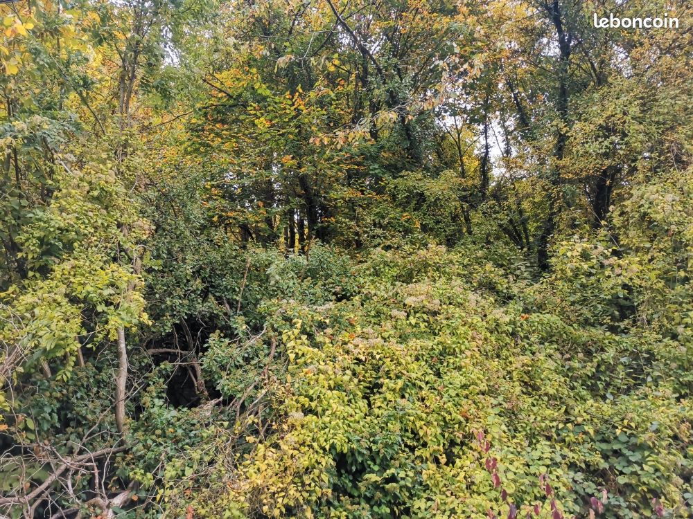 Terrain briey (image 3)