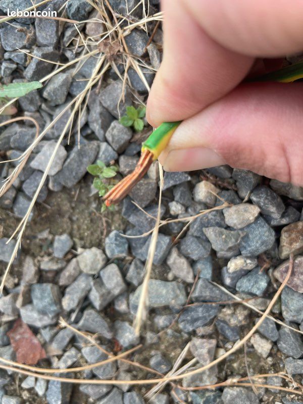 Câbles électrique 5g6 (image 3)