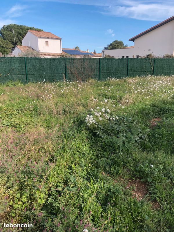 Terrain viabilise MAUGUIO (34130) · 265 000 €
