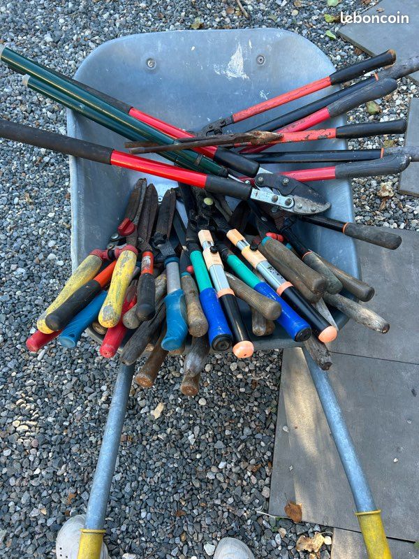 Vends plusieurs coupes branches et tailles haies manuels (image 2)