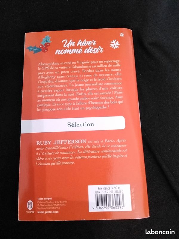 Un hiver nommé désir de Ruby Jefferson (image 2)