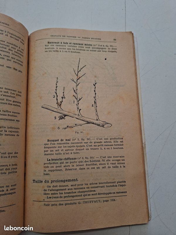 3567H: Comment On Soigne Son Jardin Automne Hiver Georges Truffaut Ancien (image 4)