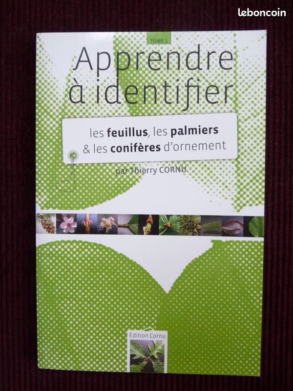 La forêt de feuillus, qu'est-ce que c'est