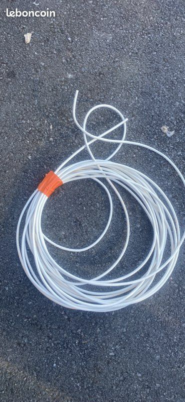 Câble RJ45 (image 1)