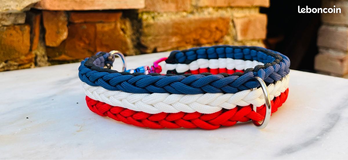 Chien Collier Corde Unique (image 2)