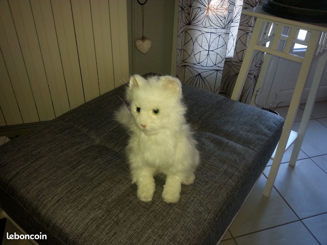 Chat automate neuf blanc (image 3)