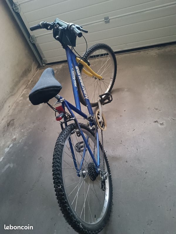 Vélo femme (image 3)
