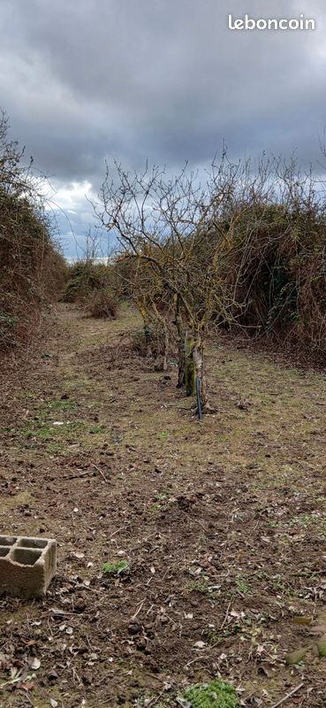 Terrain agricole · à Marsillargues · 25 000 €