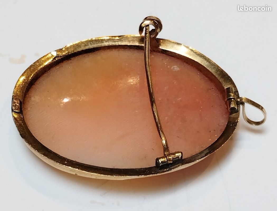 Pendentif broche or camée coquillage (image 5)