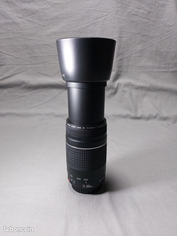 Objectif Canon EF 75-300mm 1:4-5.6 III - Monture EF, Neuf Sous Blister