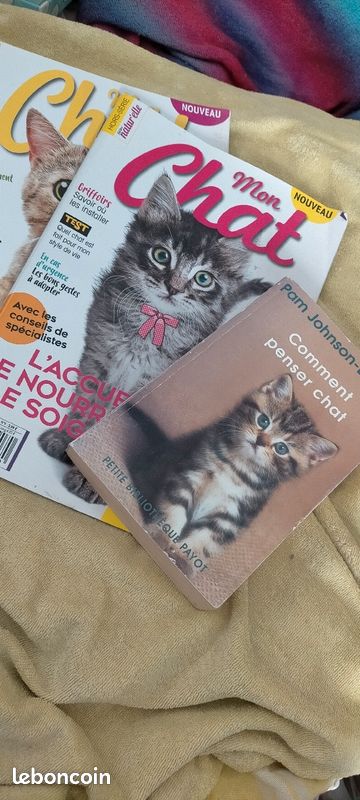 Lot livre et magazines sur les chats (image 1)