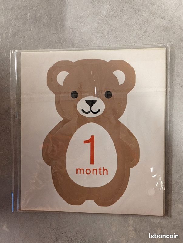 Autocollants mes premiers mois bébé (image 4)