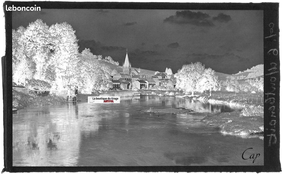 Plaques De Verre - Parc, Jardin, France, Plaque Verre Photo Ancienne Negatif Noir Blanc 9x12 Cm 2249542132