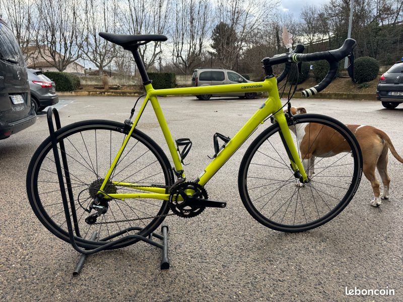 Frame Cannondale Caad Optimo Sora 2019 Race Bikes 2019 Cannondale