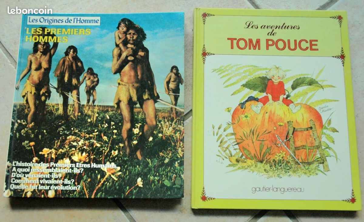 Lots 22 livres, Romans, Guides pratiques, Manuels Scolaires, Enfants (image 10)