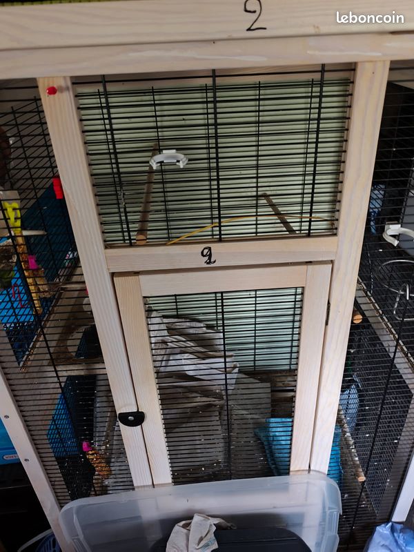 Cage a oiseaux (image 1)