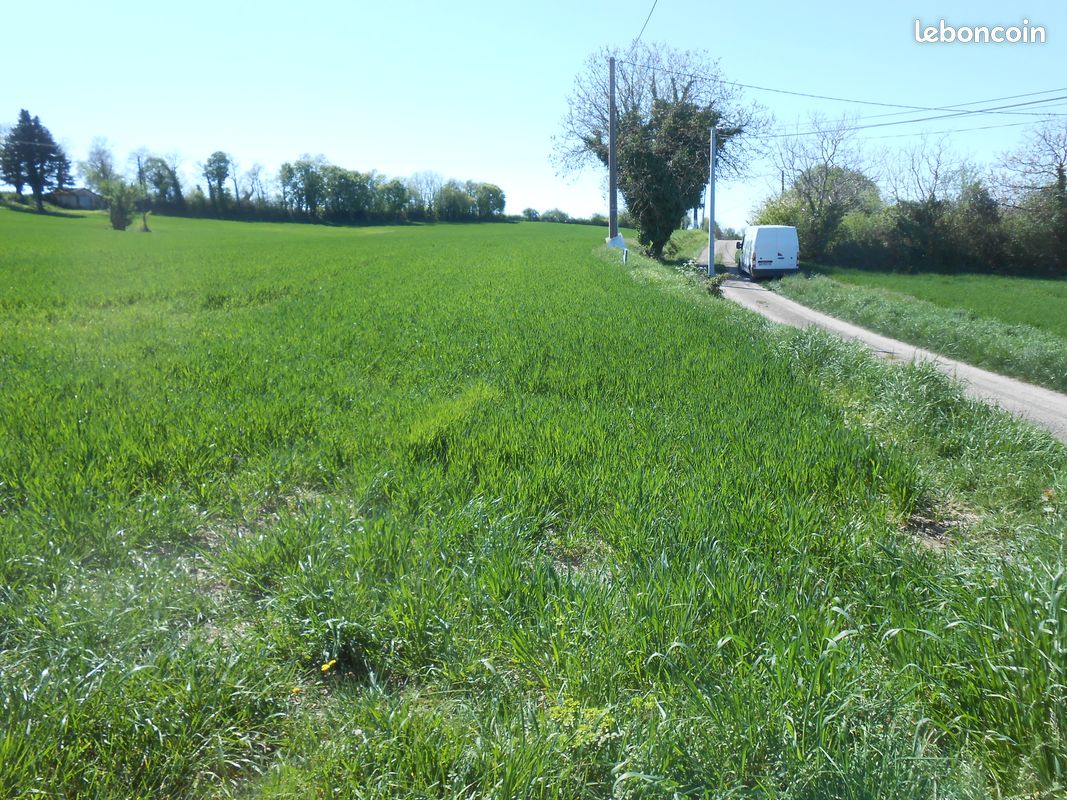 Terrain a batir · à Castelnau-Montratier · 34 000 €