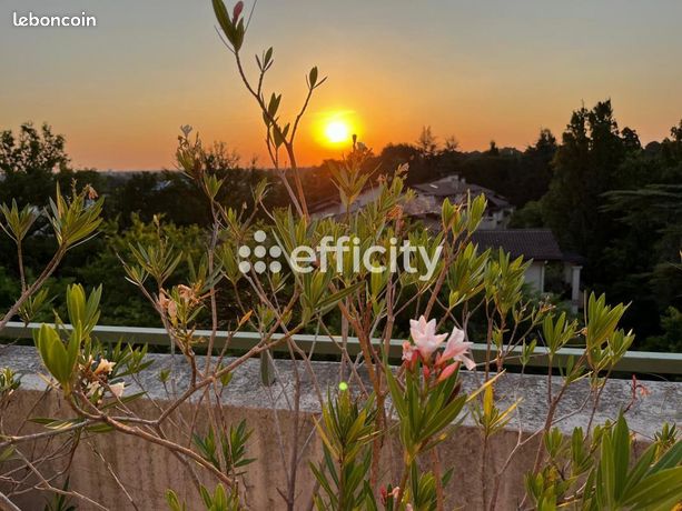 Appartement 3 pièces 95 m²